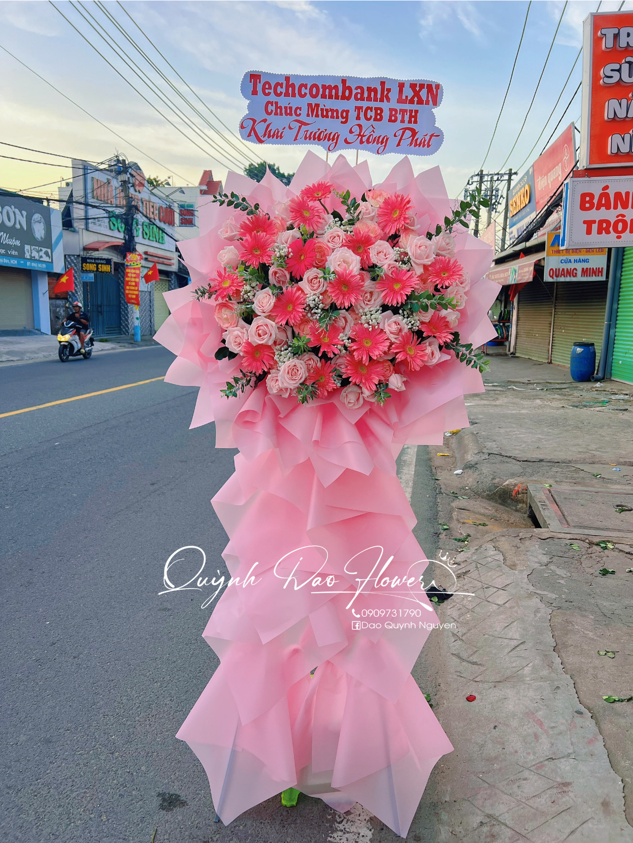 Kệ khai trương hoa đồng tiền hồng 