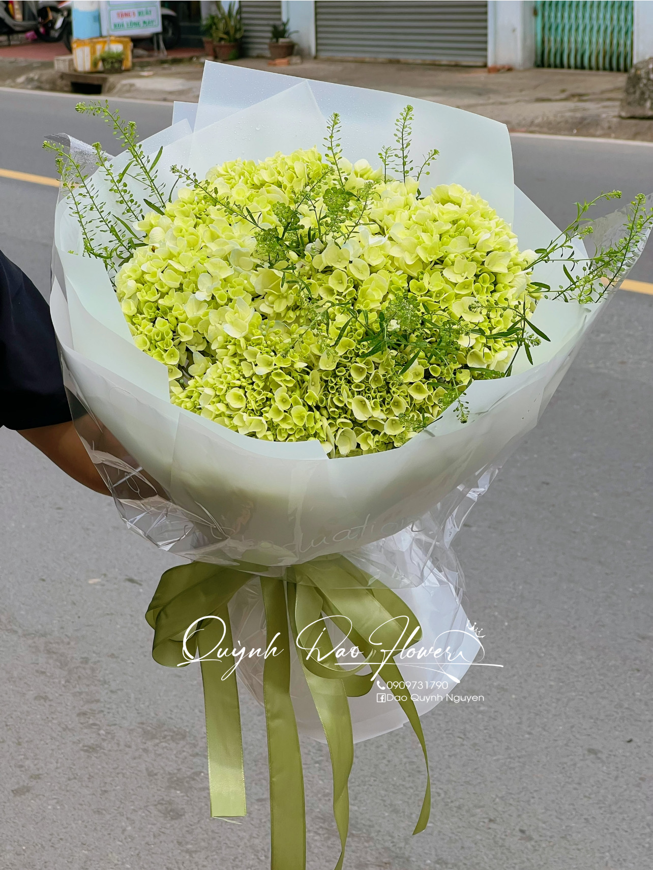 Bó hoa Cẩm Tú cầu tặng người yêu 