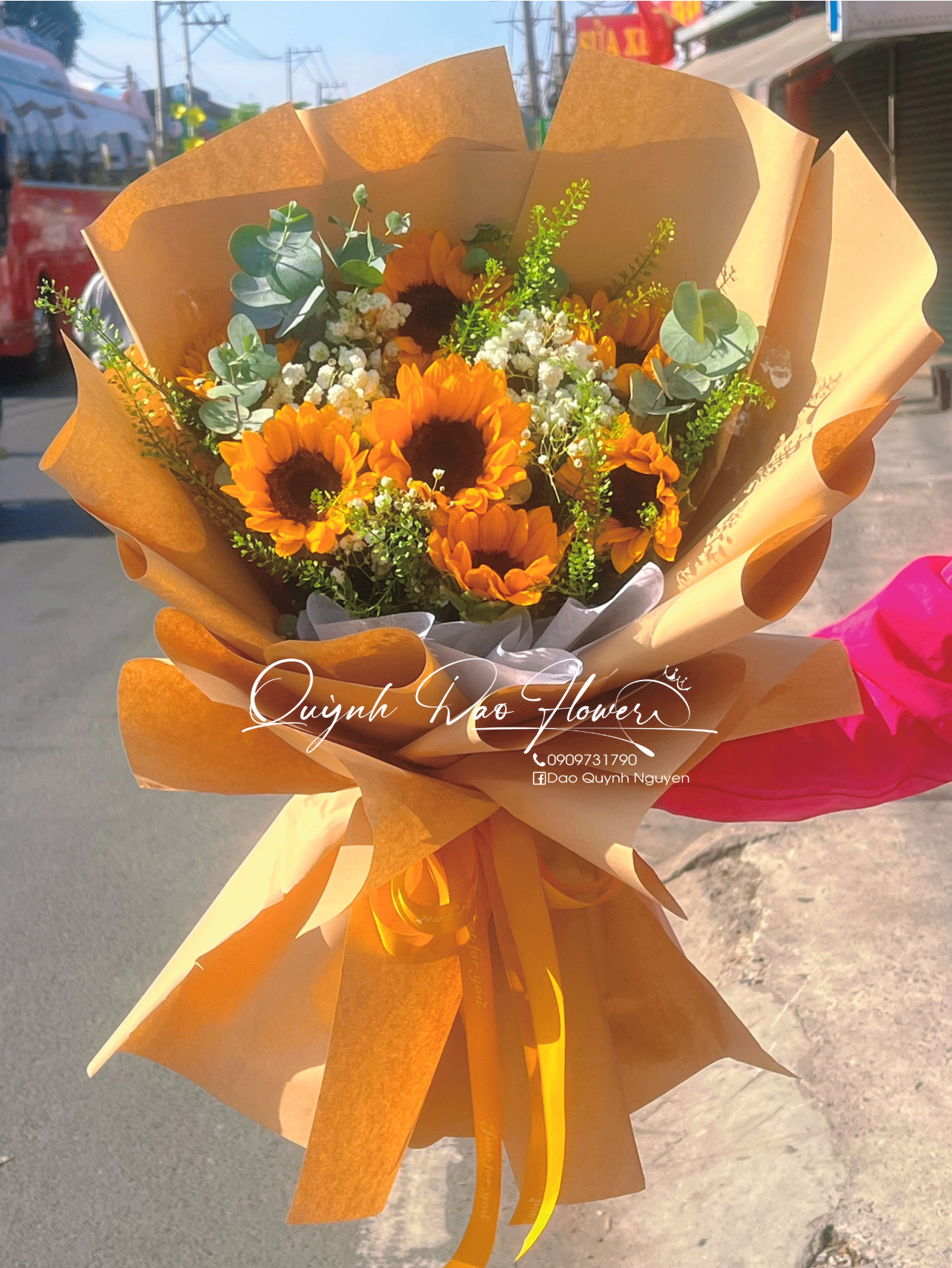 Hoa hướng dương 🌻 