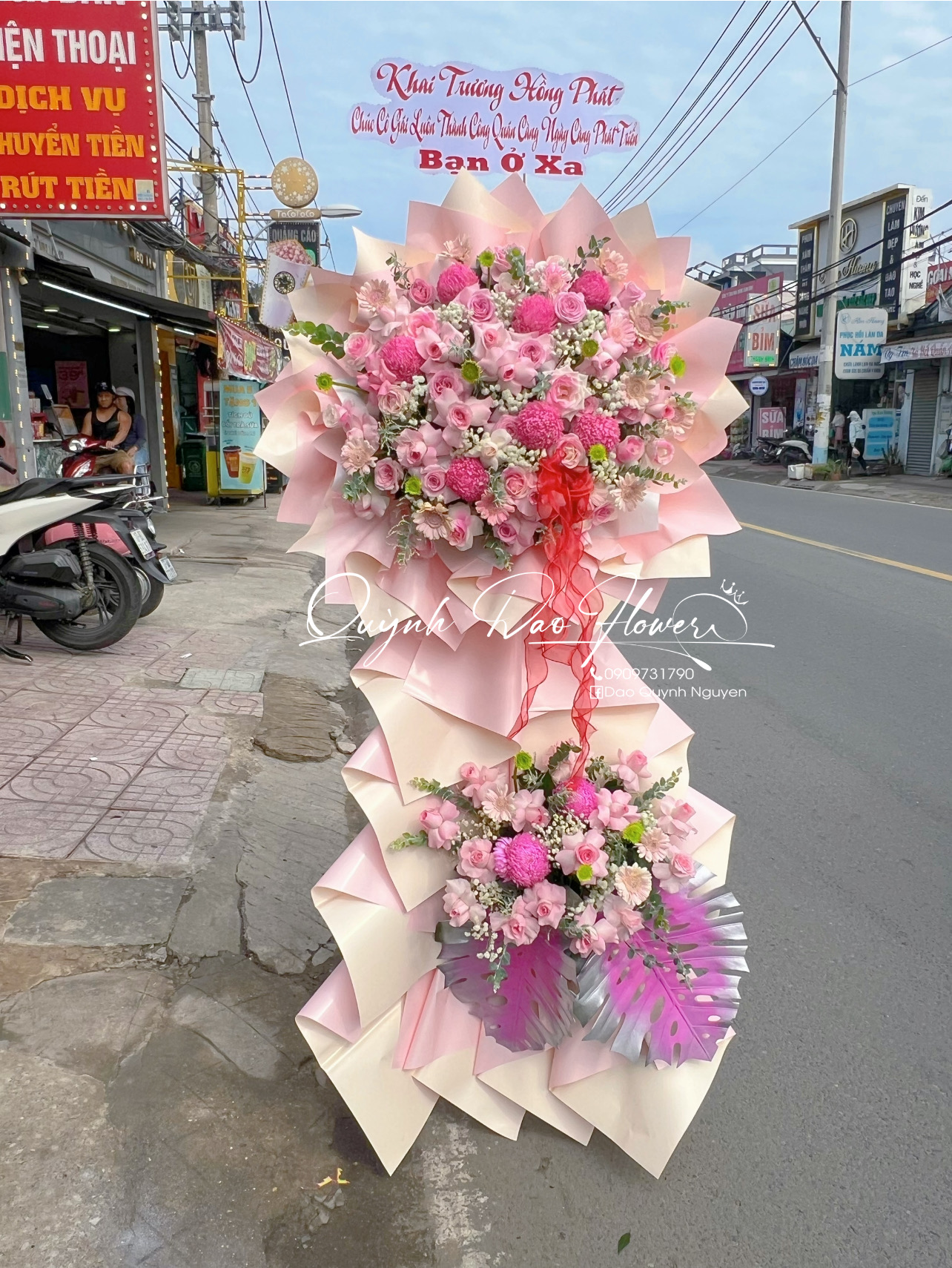 Kệ khai trương cúc mẫu đơn Hồng 