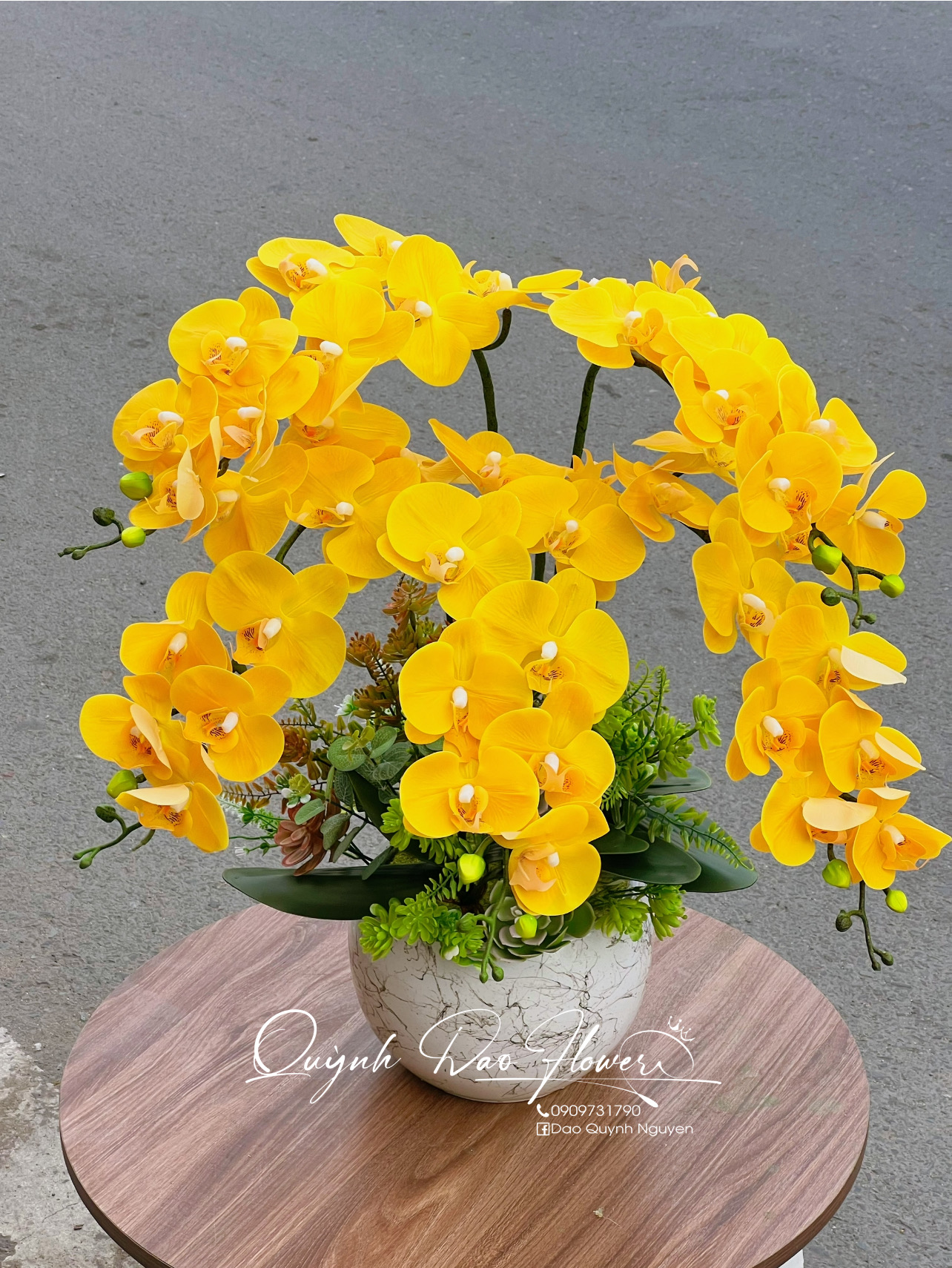 Chậu lan hồ điệp cao su vàng  5 nhánh 