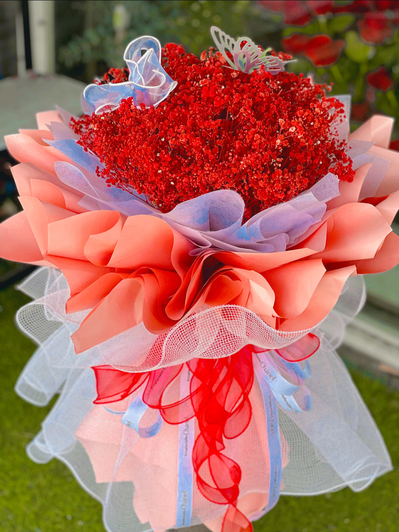Bó hoa bi khô công chúa tặng người yêu 
