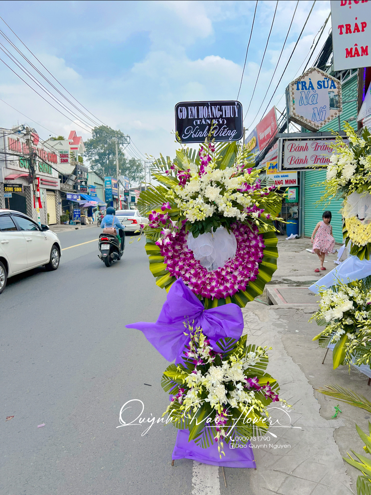 Kệ tang lan tím