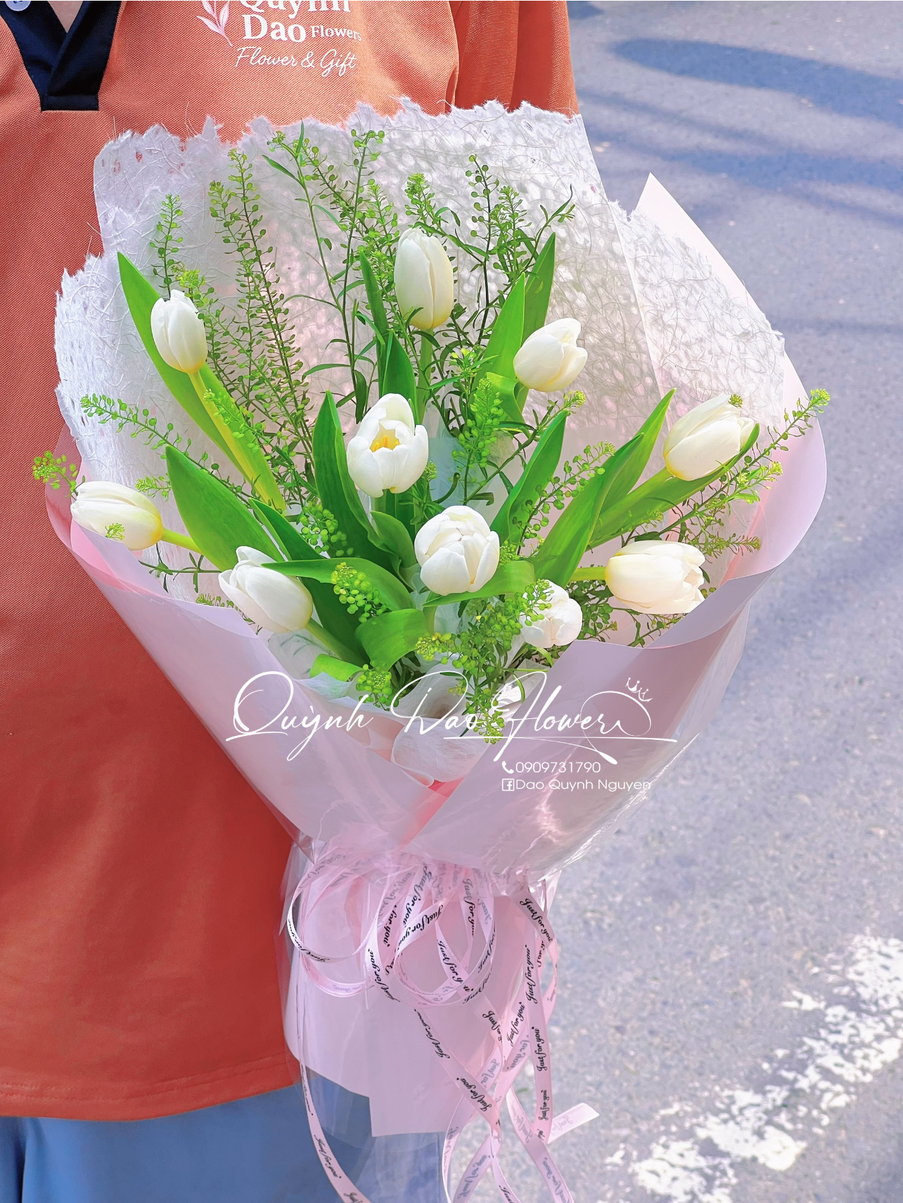 Hoa tulip trắng hà lan