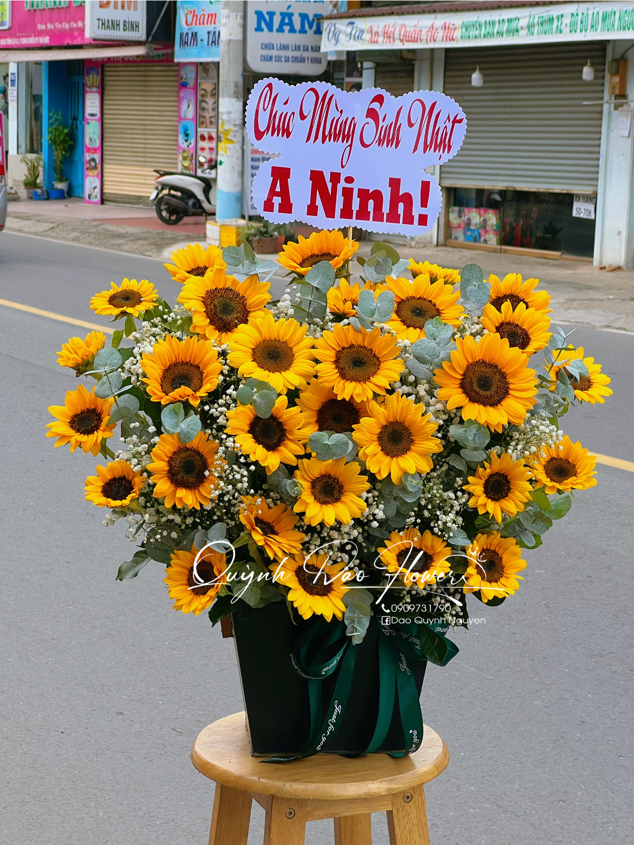 Hoa khai trương hướng dương 