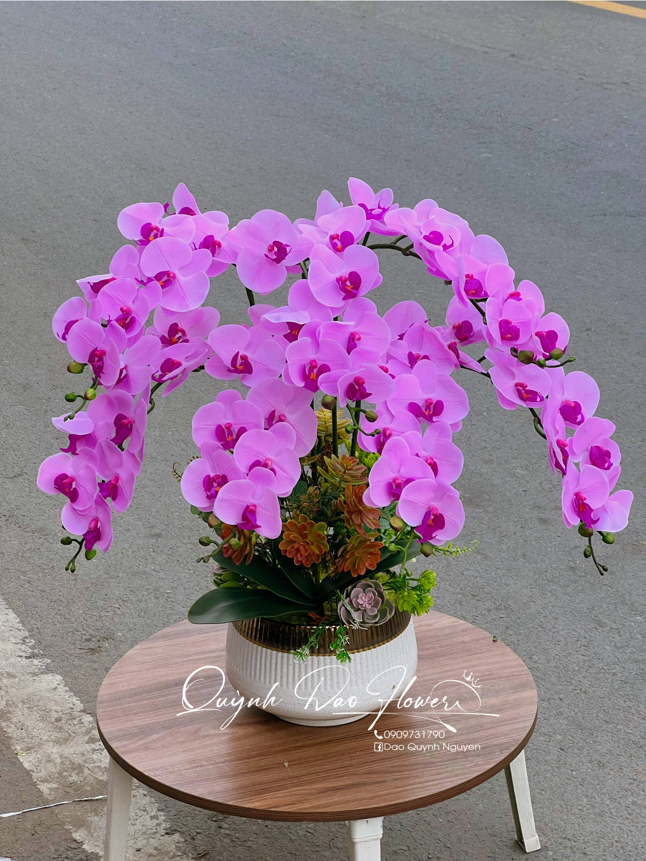 Chậu lan hồ điệp cao su tím 7 nhánh 