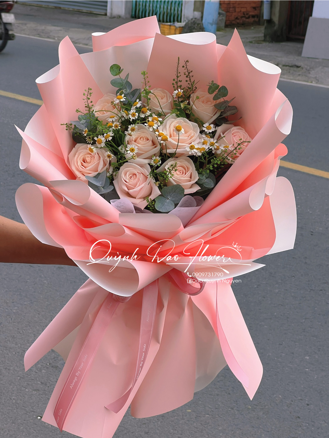 Hoa xinh bình dương 