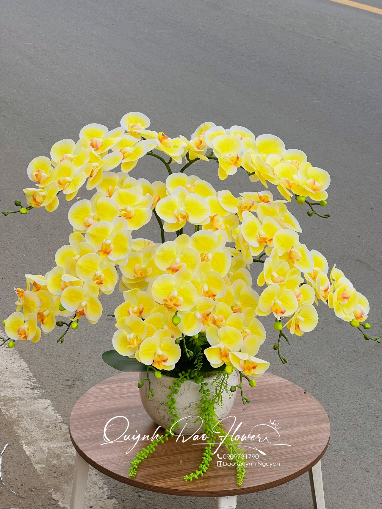 Chậu lan hồ điệp cao su 9 nhánh vàng tại quận 1