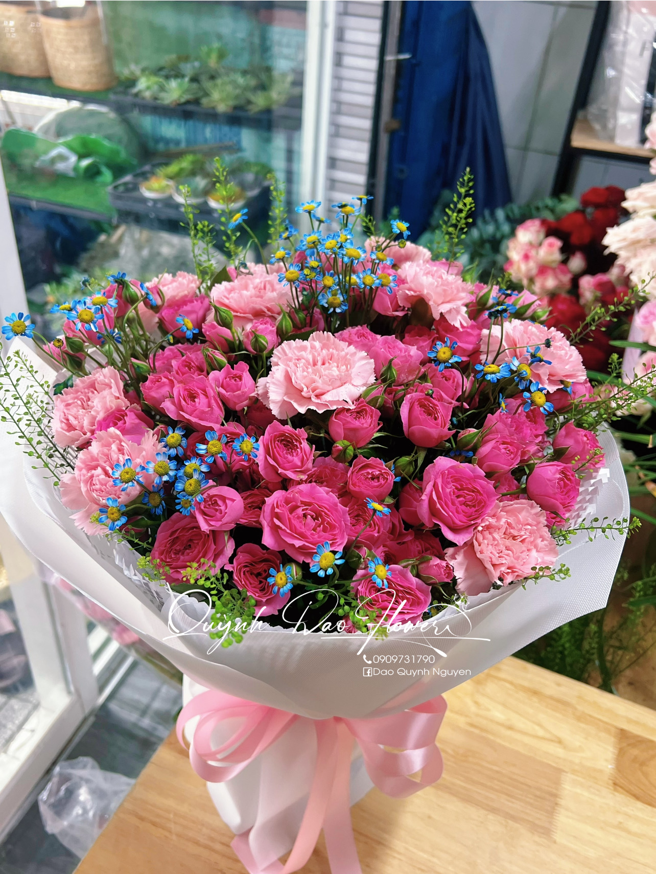Hoa Sophia thủ dầu 1