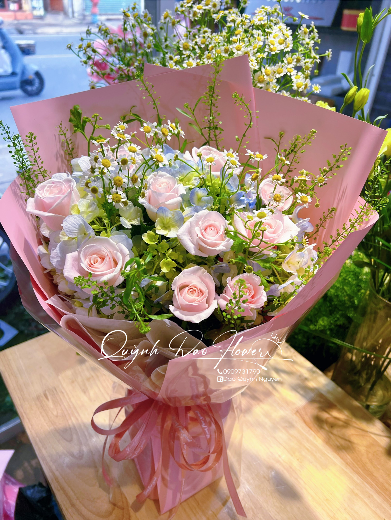 Hoa cẩm tú cầu Hà Nội 