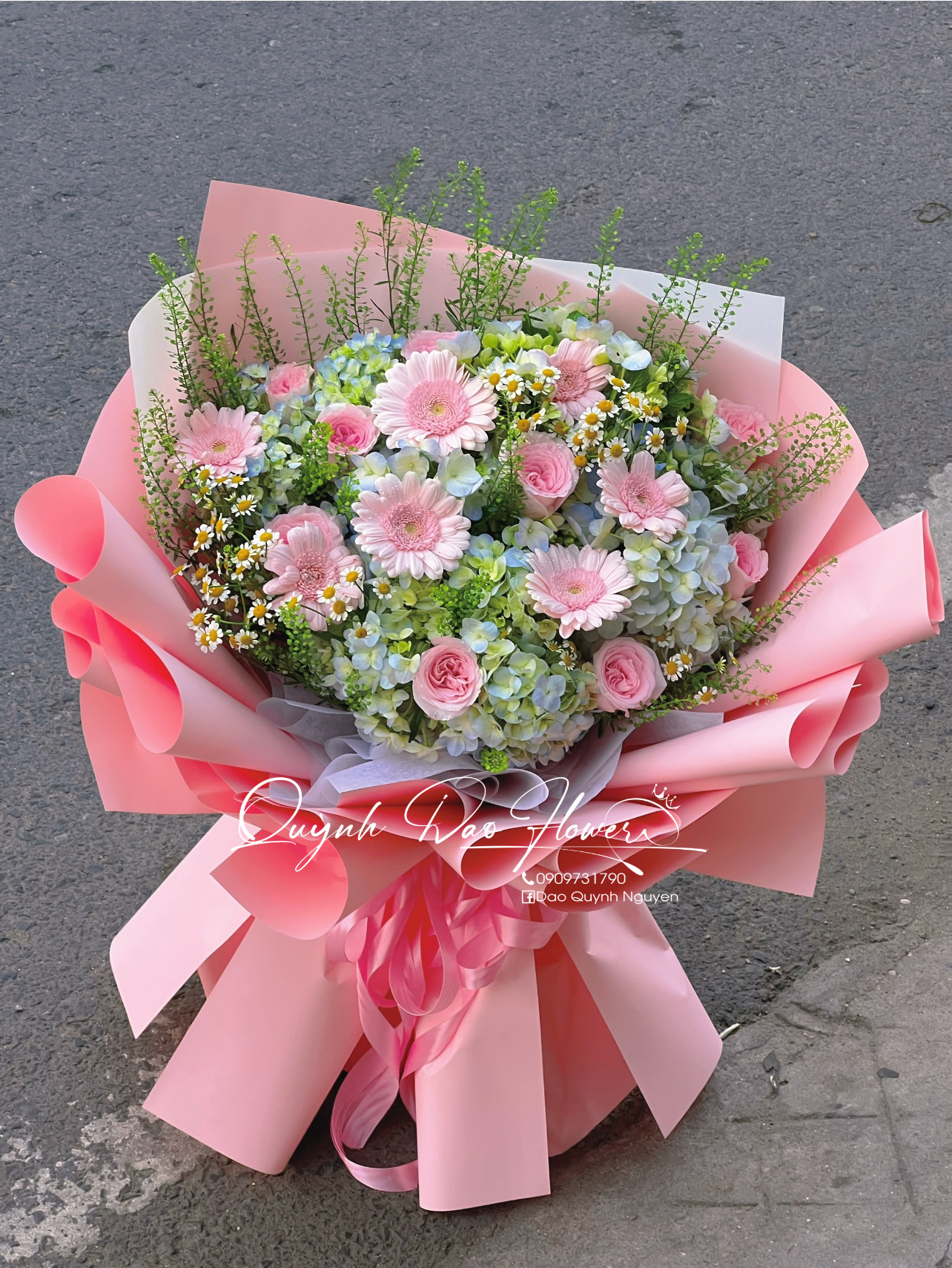 Hoa Tú cầu tặng người thương 