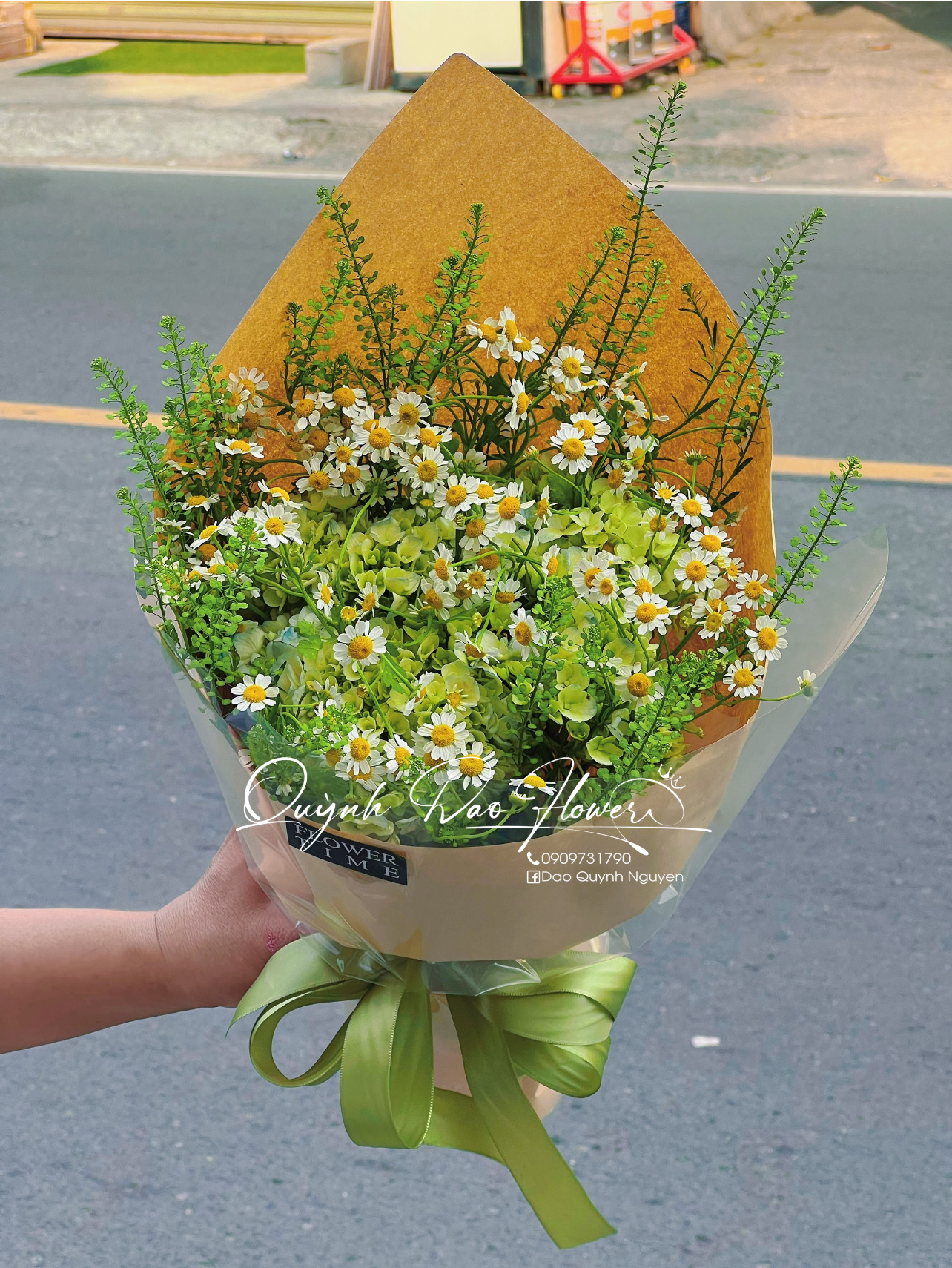 Hoa Cẩm Tú cầu nhỏ