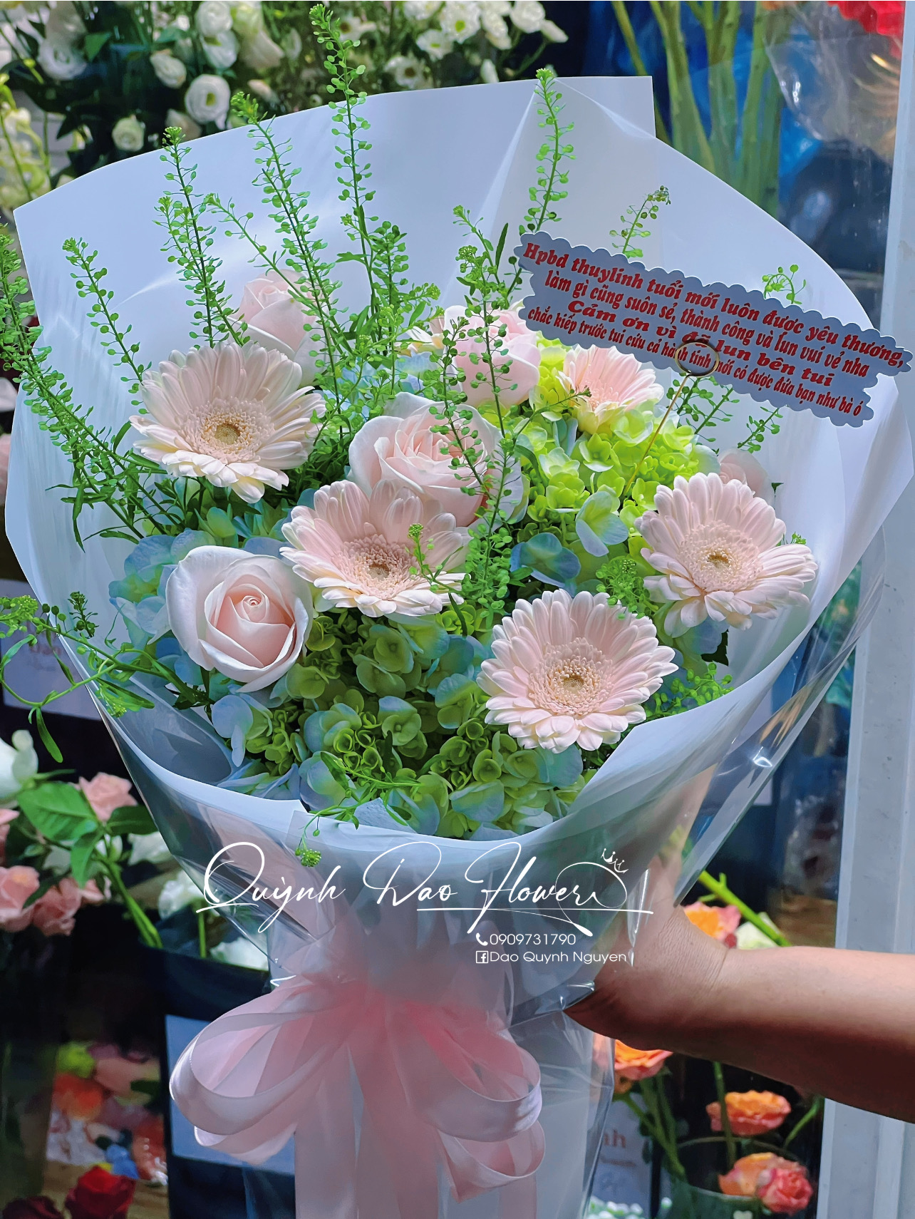 Hoa Cẩm Tú cầu bình dương 