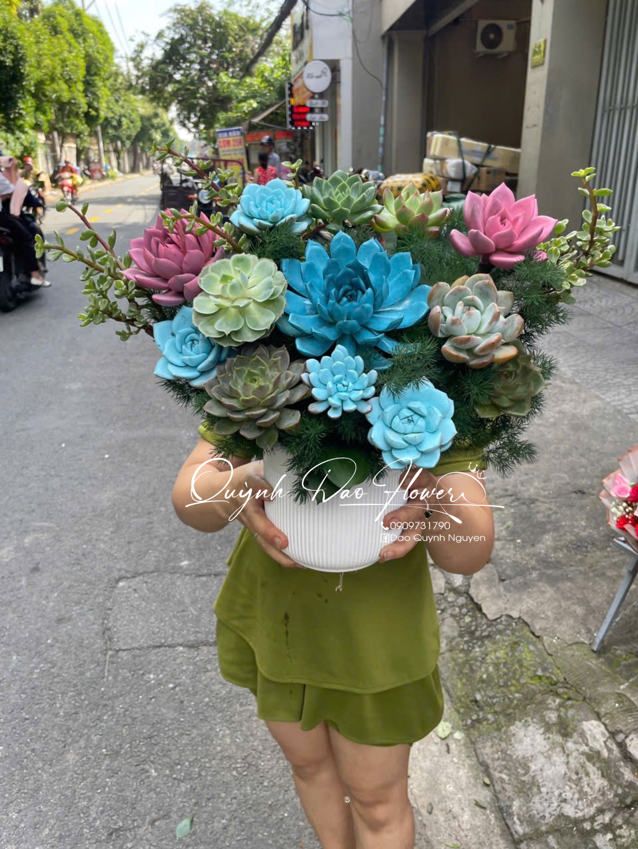 Chậu hoa sen đá tone xanh dương 