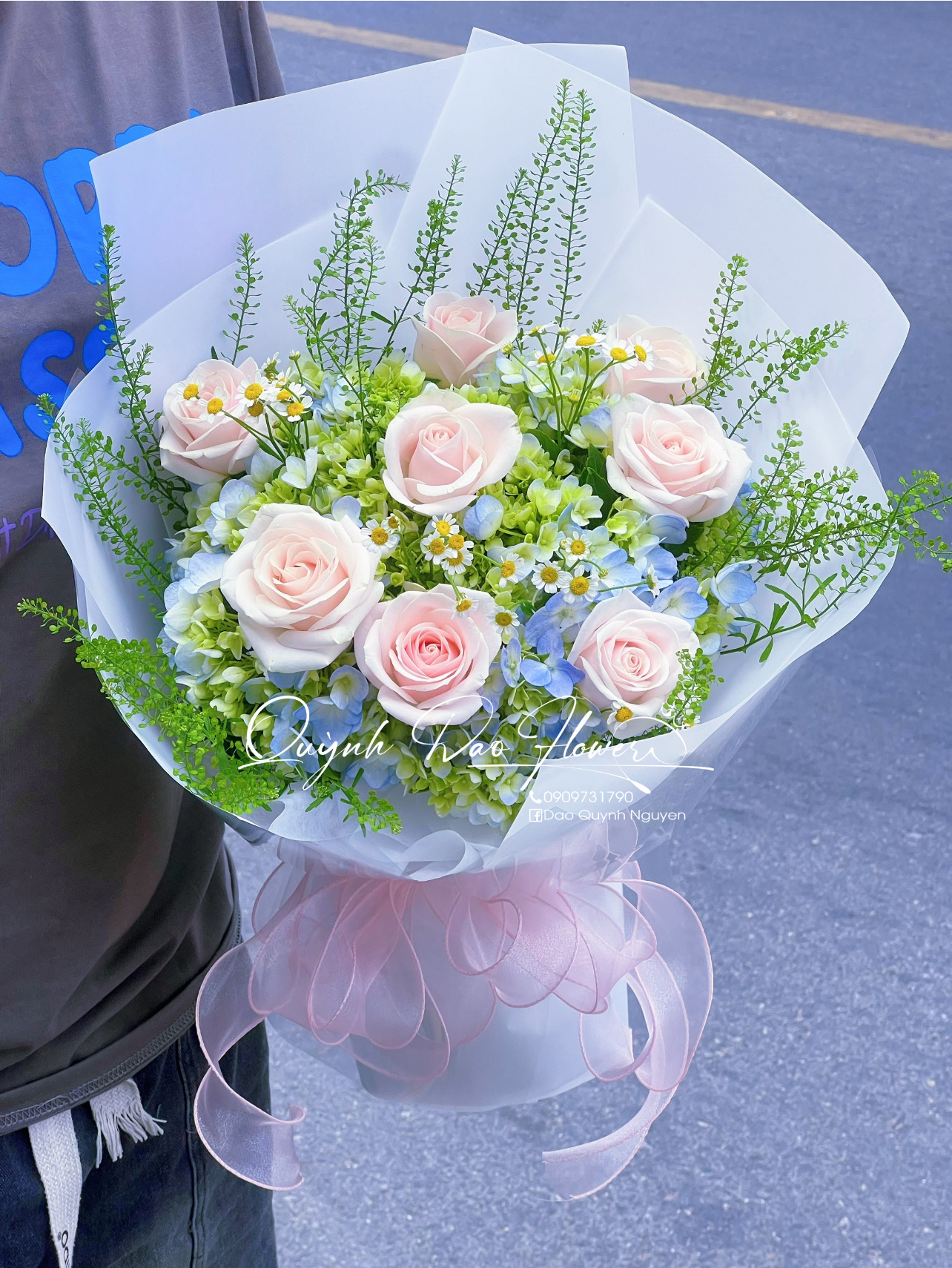 Hoa Tú cầu xanh bình dương 