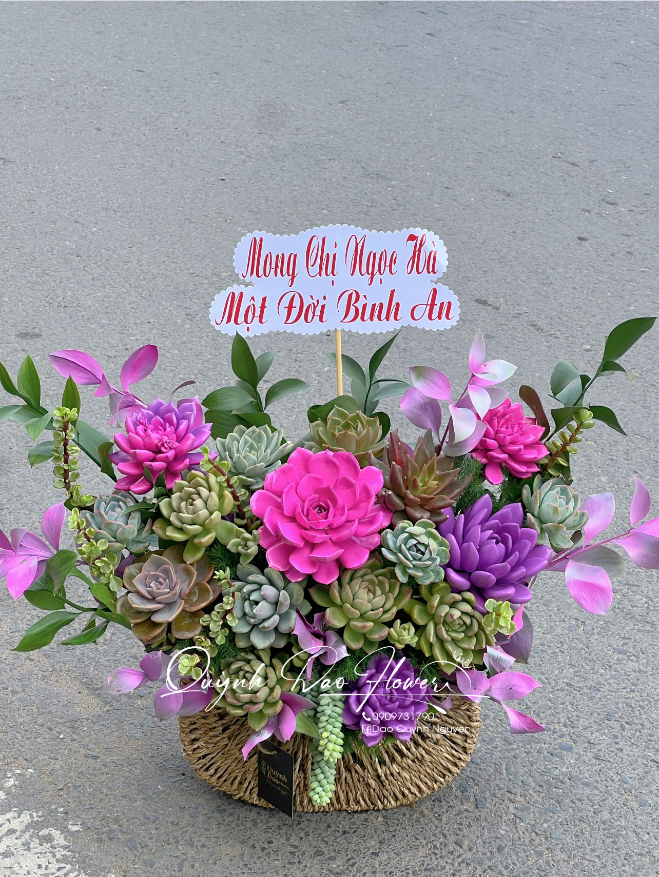 Hoa sen đá bình chiểu 