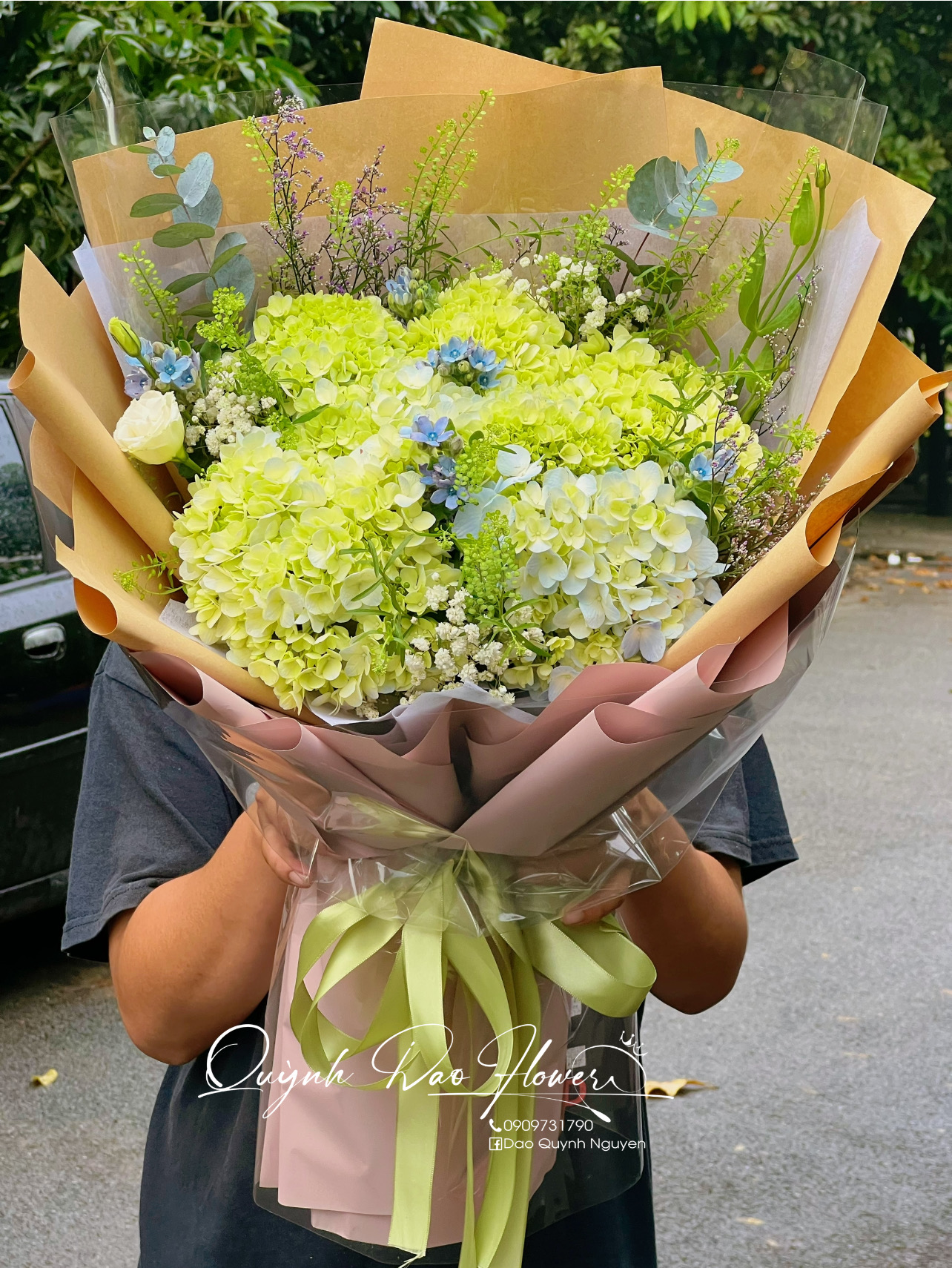 Bó hoa Cẩm Tú cầu to đẹp  tặng sinh nhật 