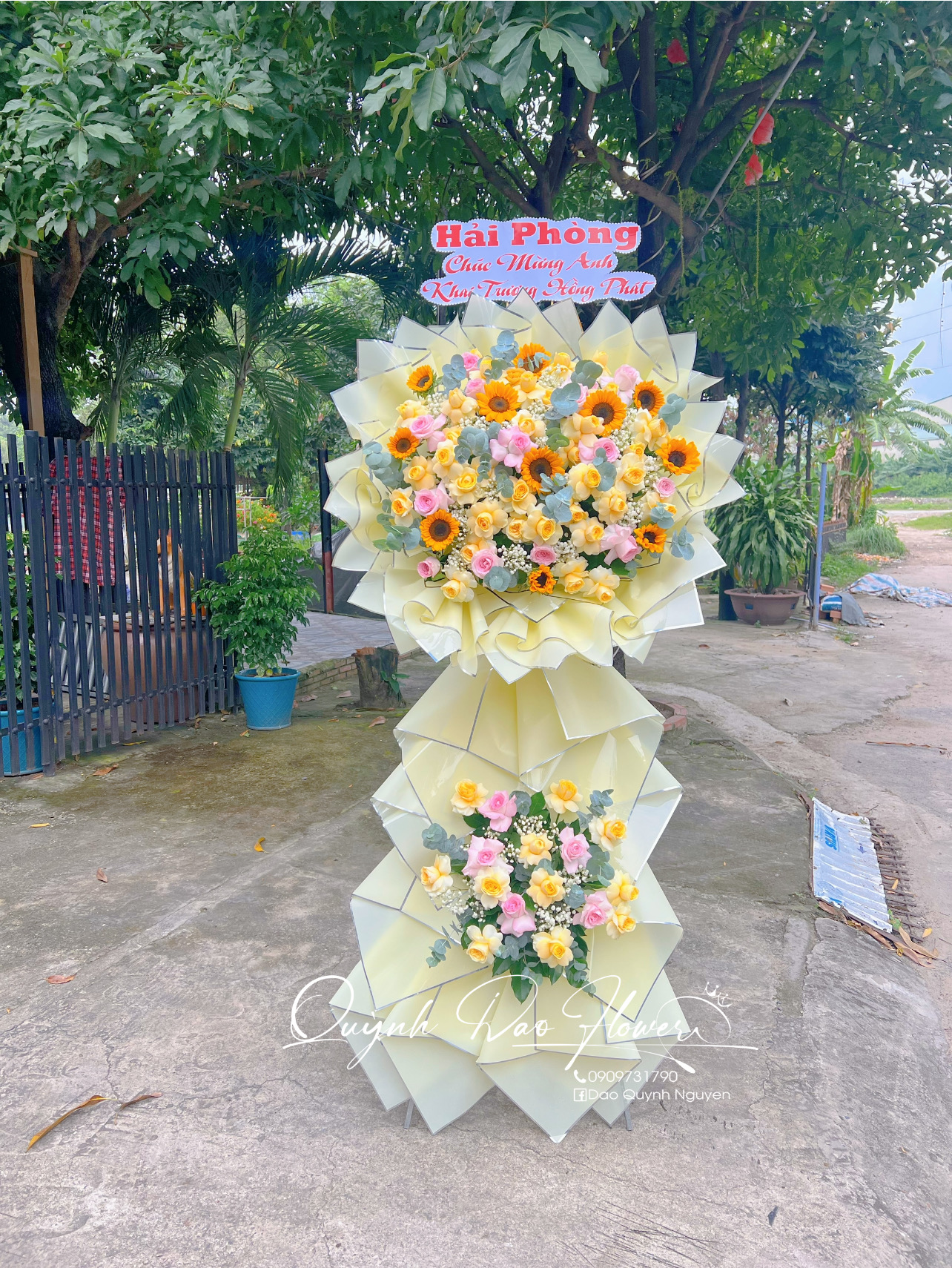 Kệ hoa khai trương hướng dương 