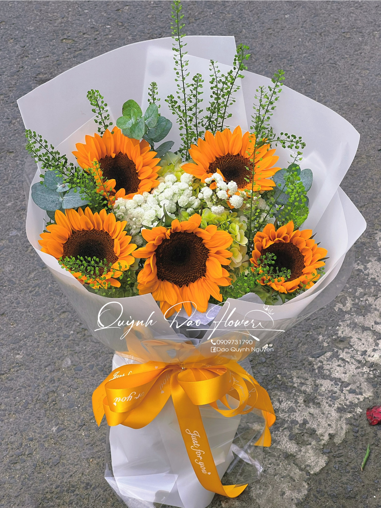 Hoa hướng dương mix tú cầu 