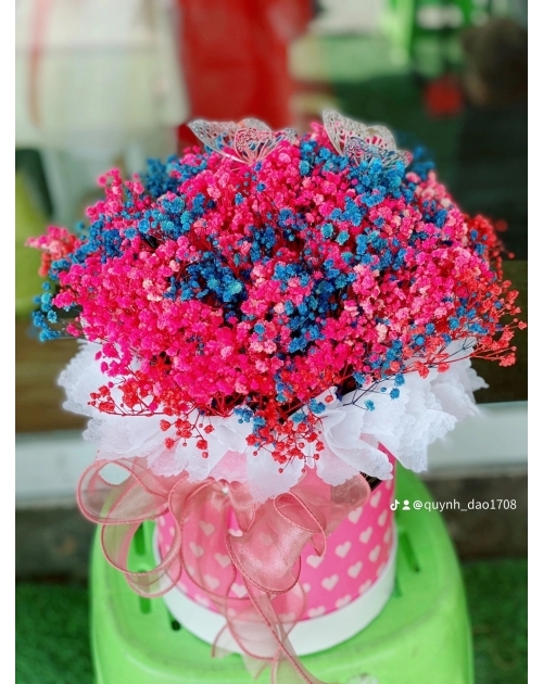 Hộp hoa bi khô màu Hồng để bàn