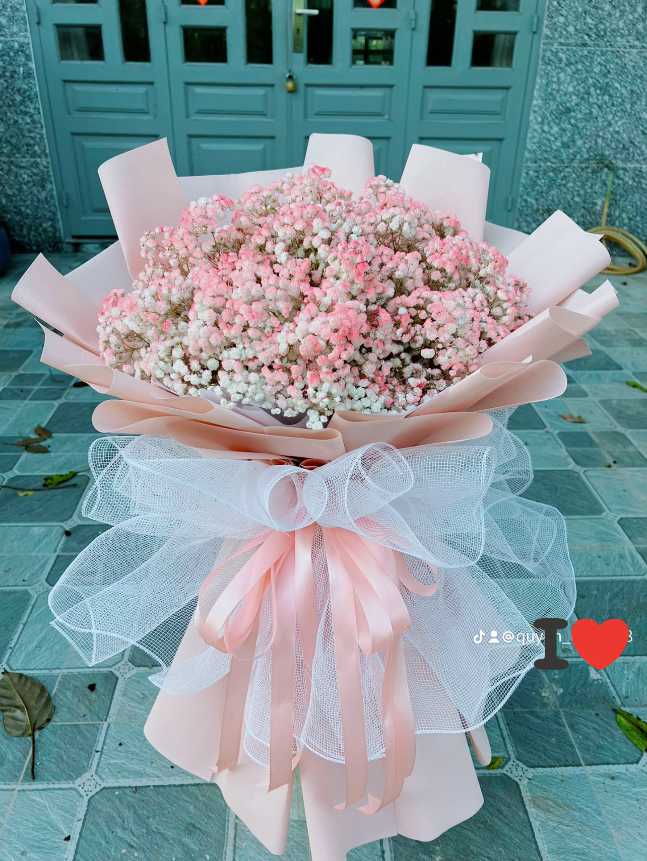 Bó hoa bi tươi màu Hồng to đẹp 