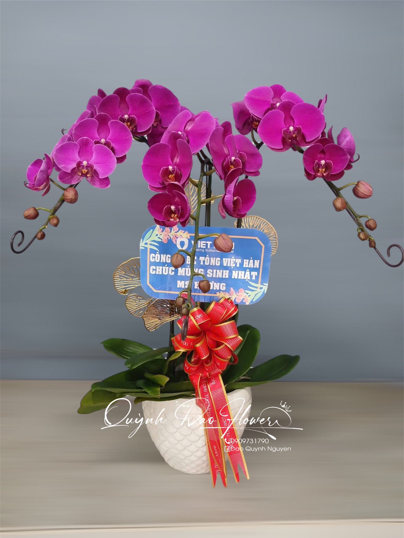 Chậu lan hồ điệp 3 nhánh 