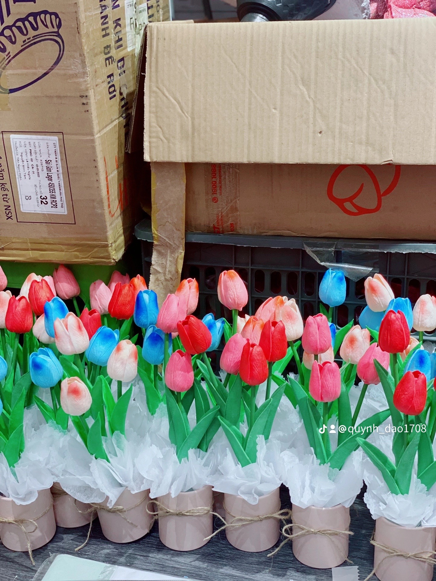 Hộp hoa Tulip để bàn