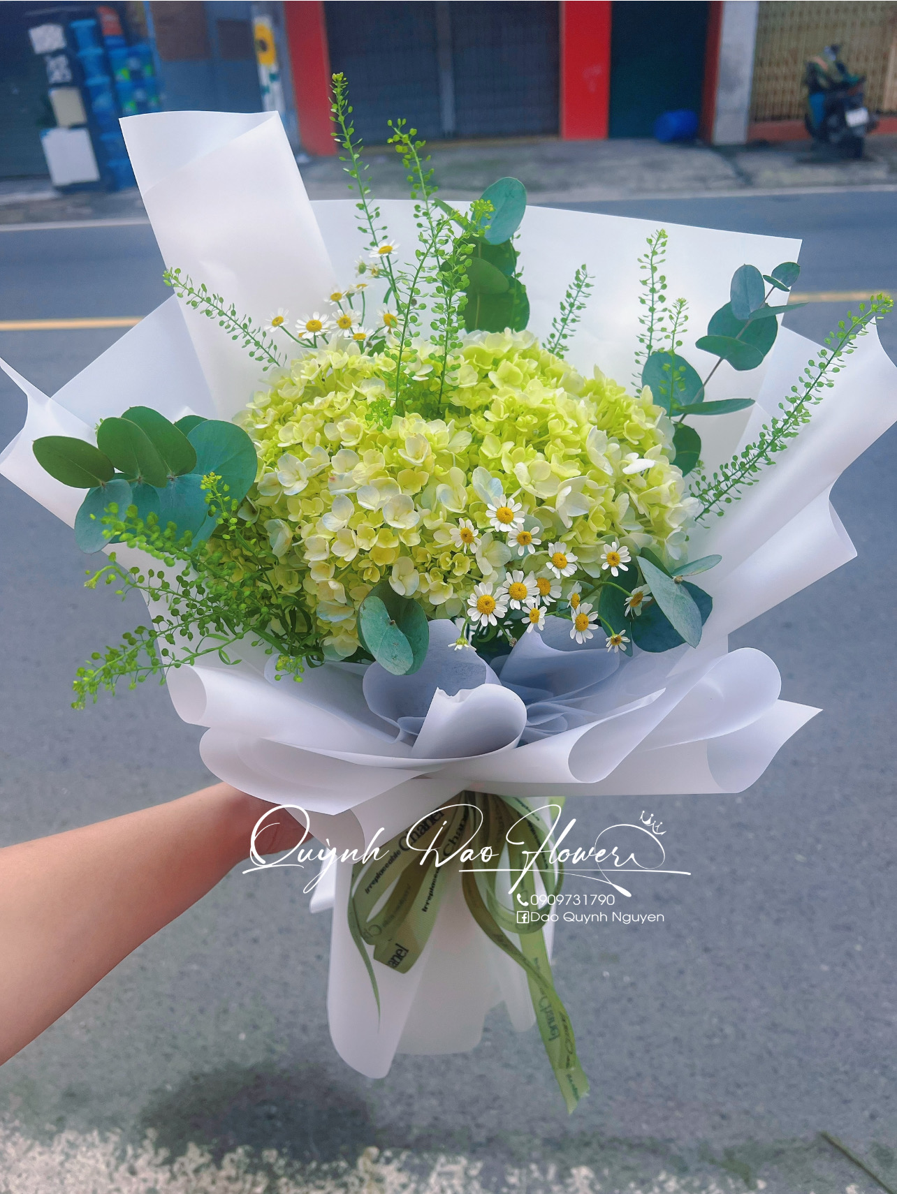 Bó hoa Cẩm Tú cầu thủ Đức 