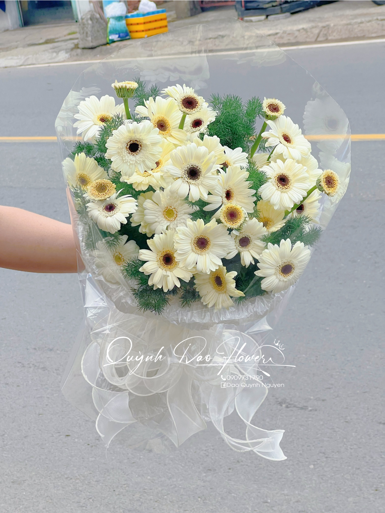 Bó hoa đồng tiền trắng 