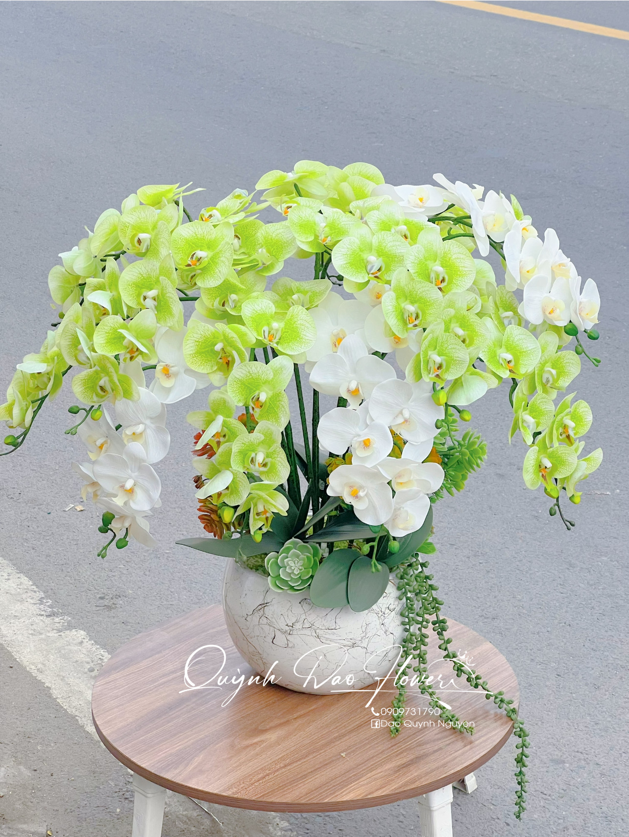 Chậu lan hồ điệp cao su xanh lá 15 nhánh 