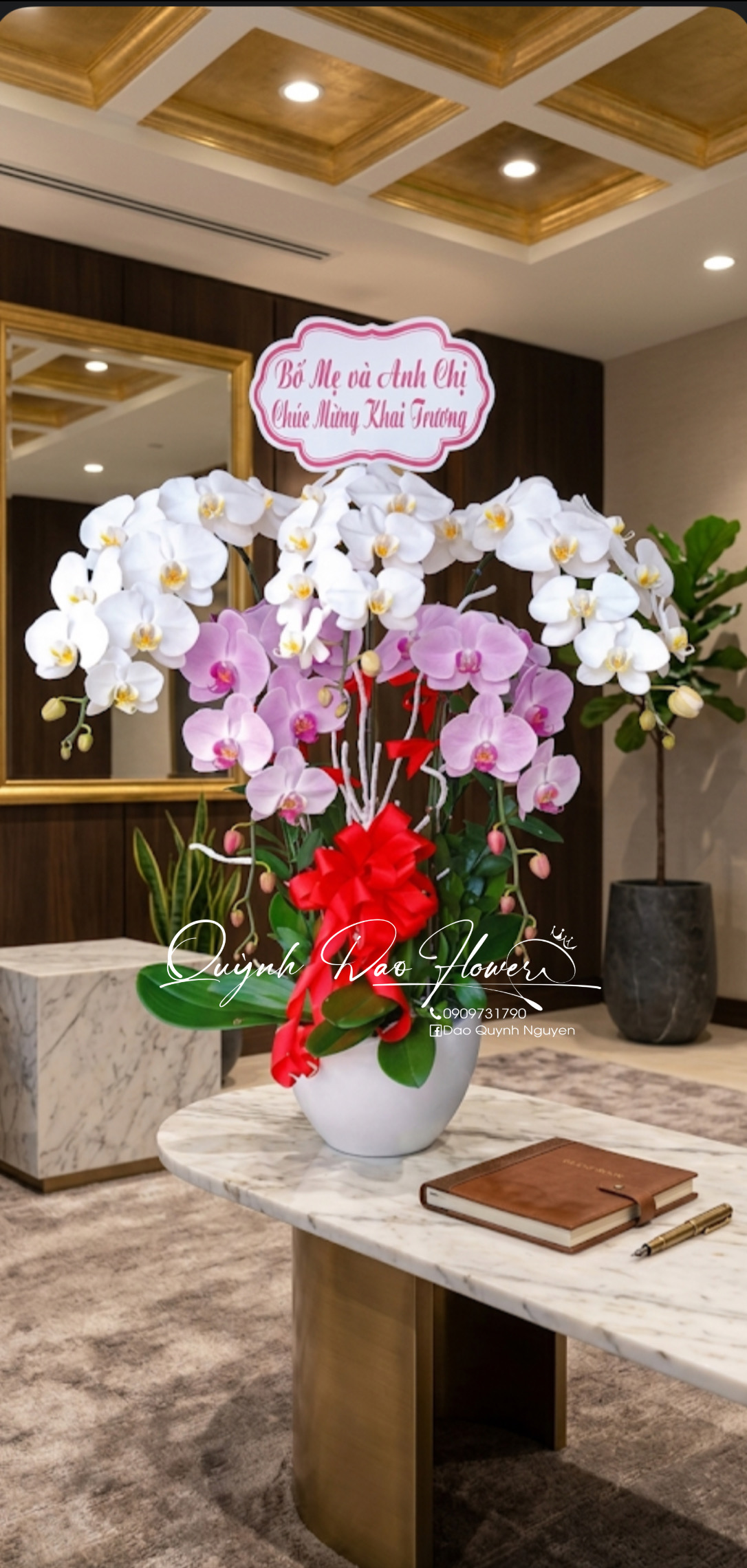 Chậu lan hồ điệp 5 cành