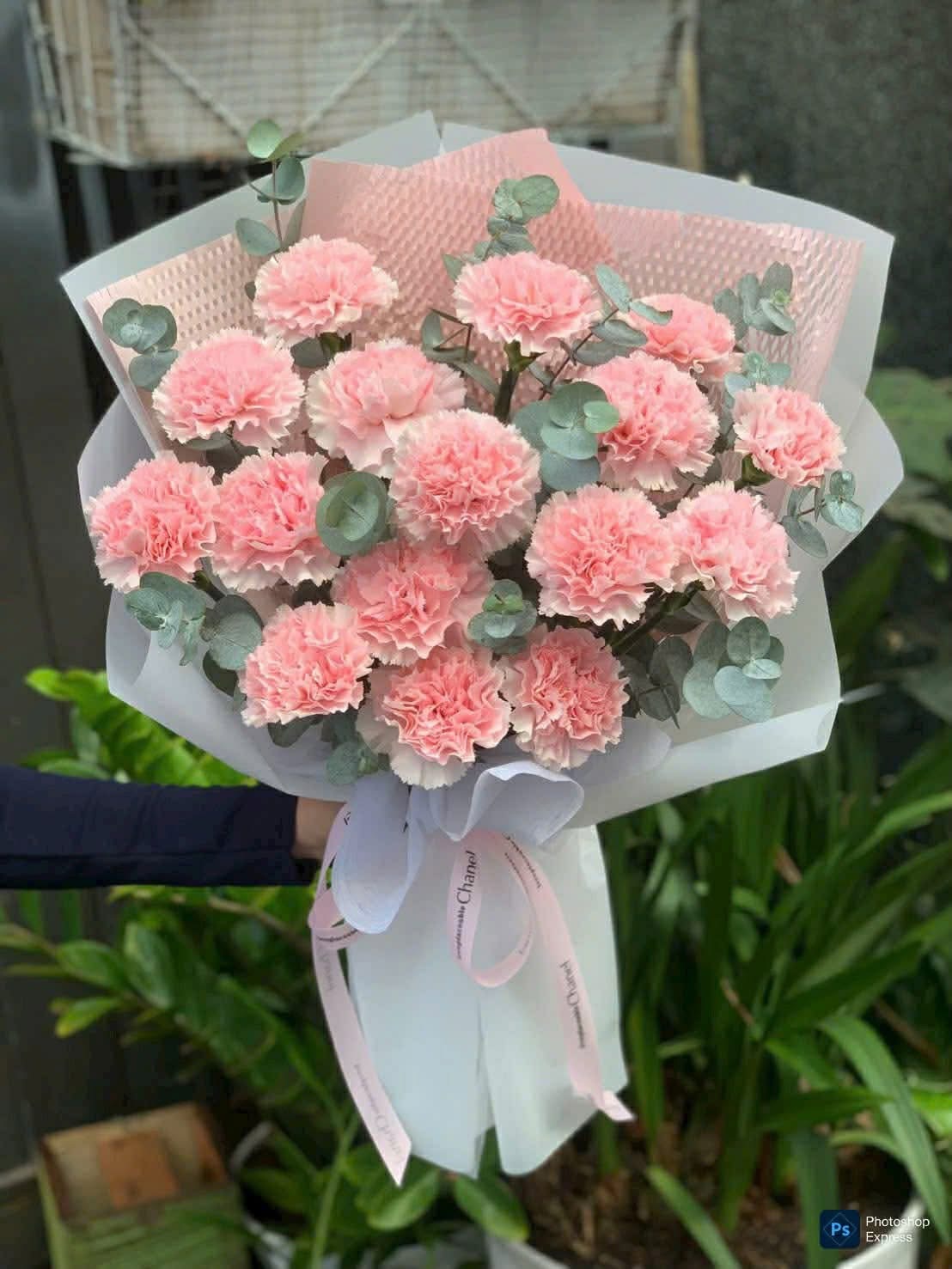 Hoa cẩm chướng