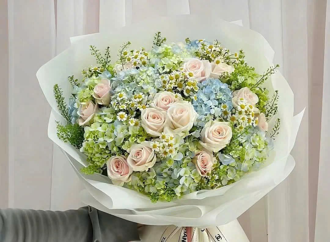 Bó hoa tú cầu đẹp 
