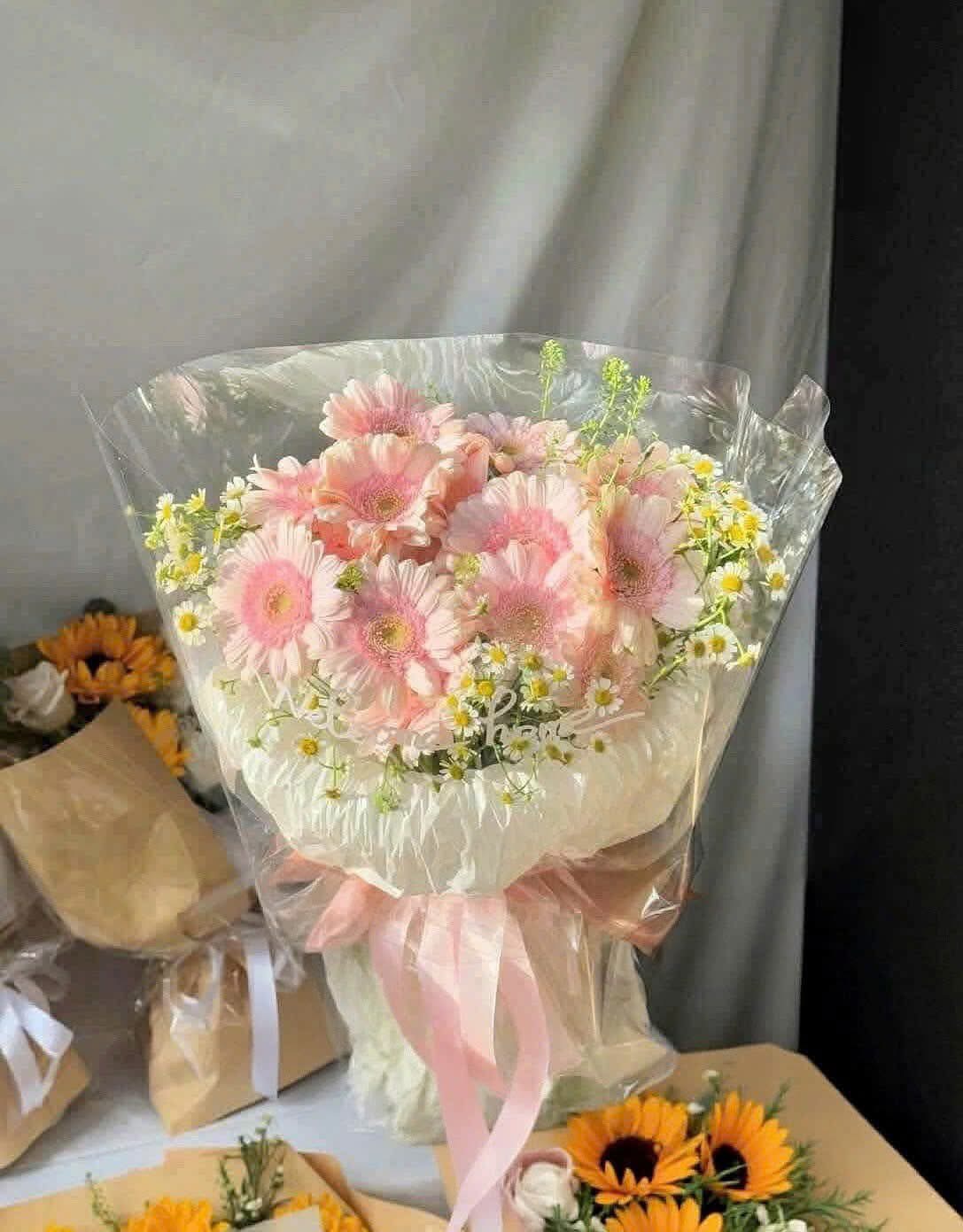 Hoa đồng tiền