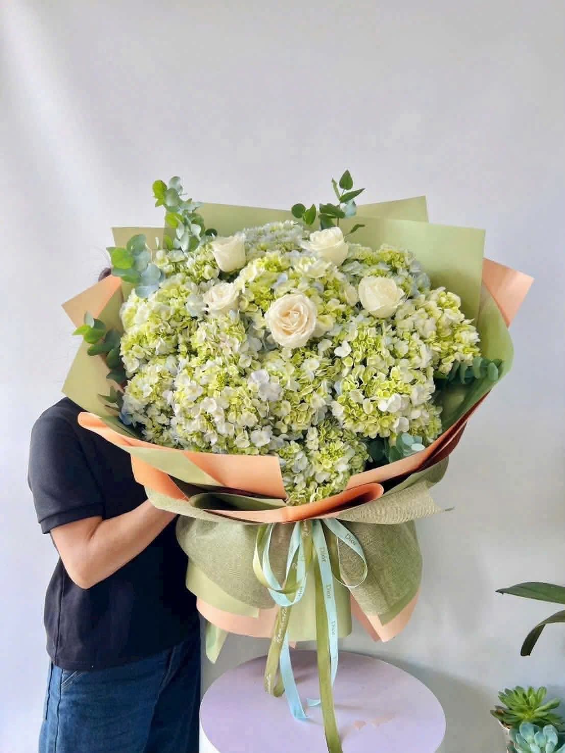 Hoa cẩm tú cầu đẹp 