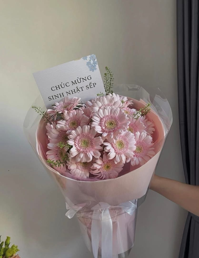 Bó hoa đồng tiền hồng