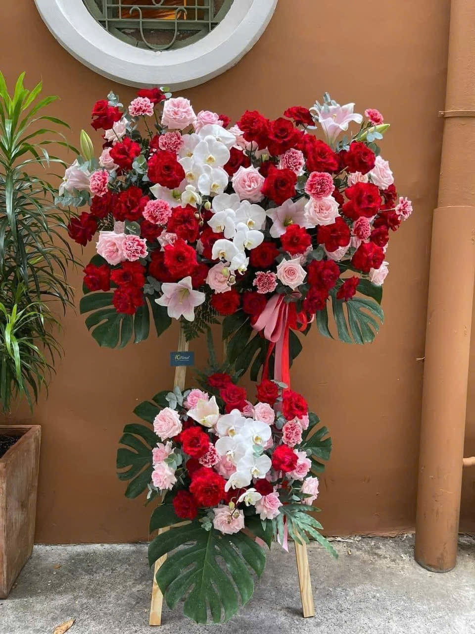 Kệ khai trương lan hồ điệp 