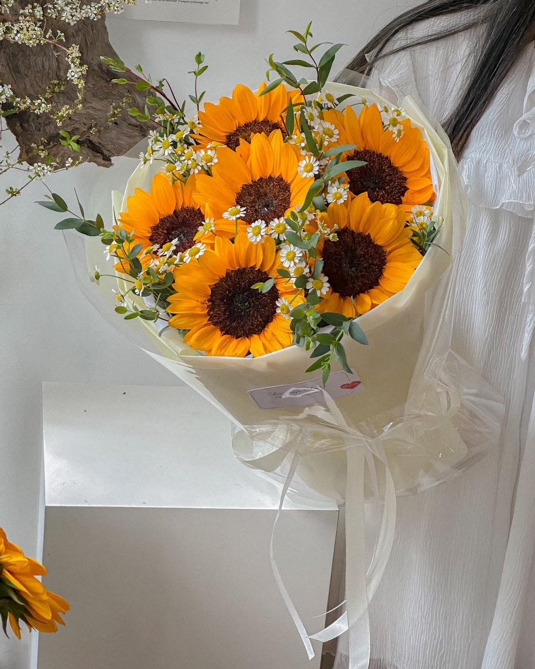 Bó hoa hướng dương mix cúc tana 