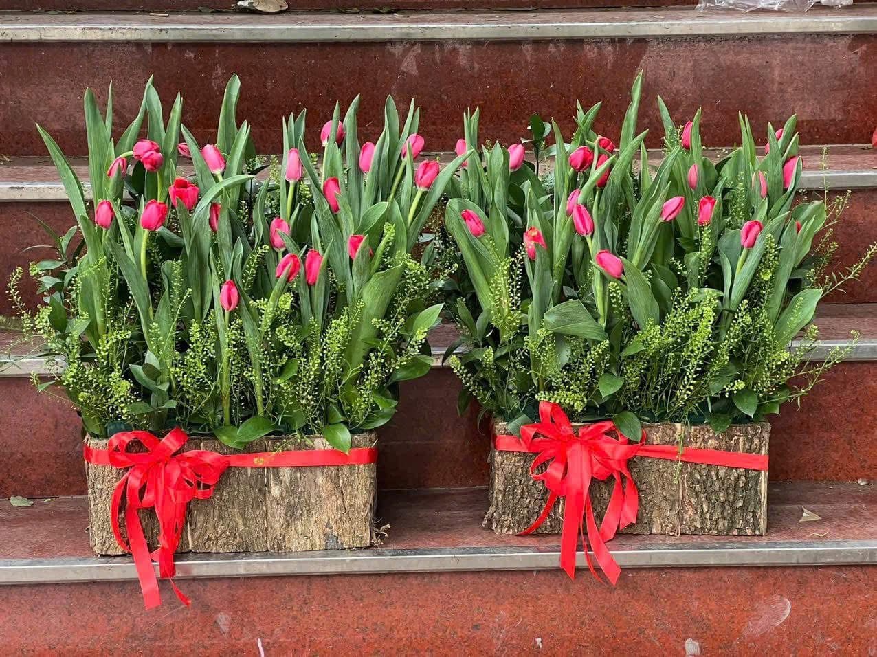 Hop hoa tulip tại khu đô thị Vạn Phúc 
