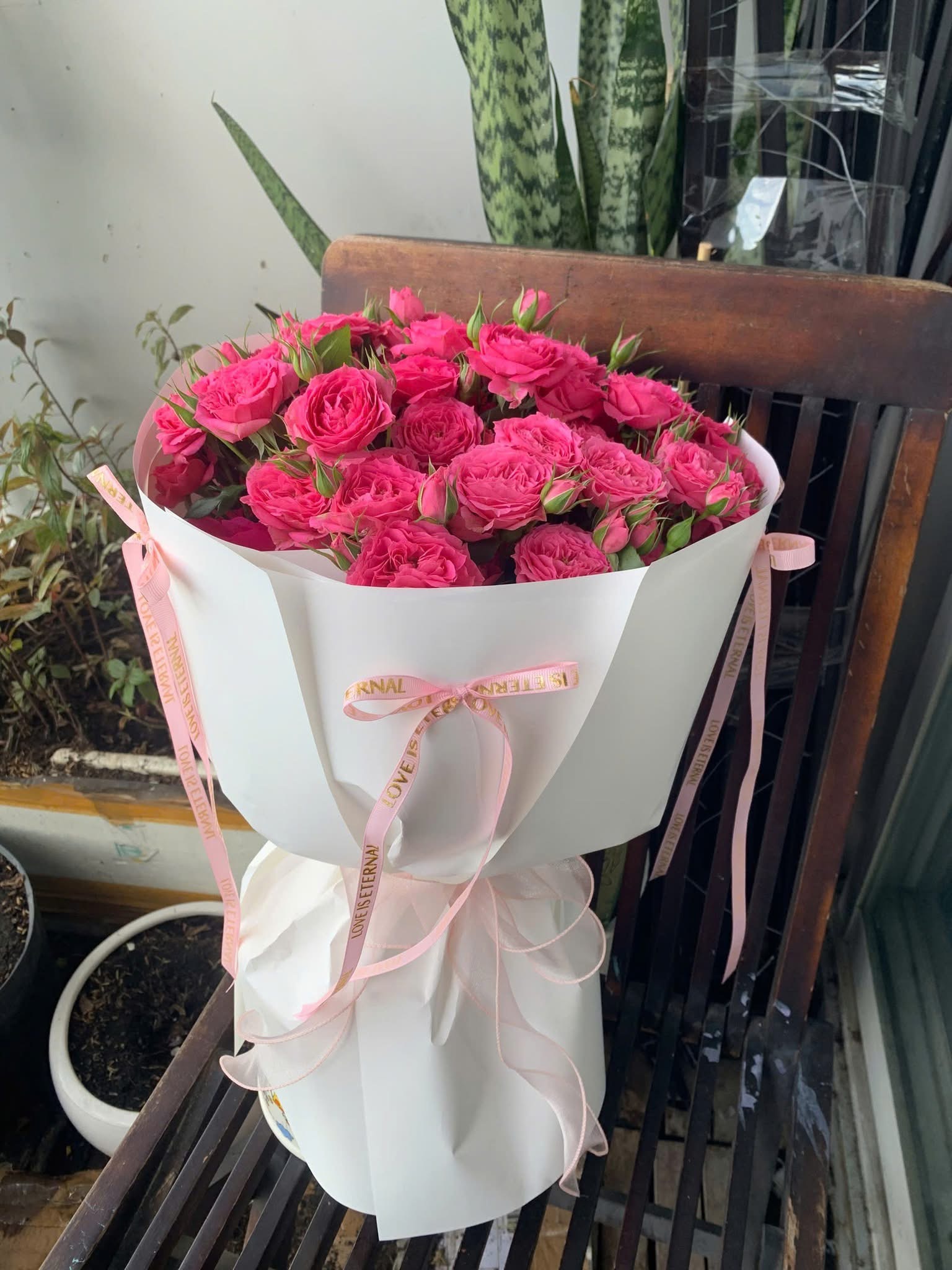Bó hoa hồng Sophia Hồng 