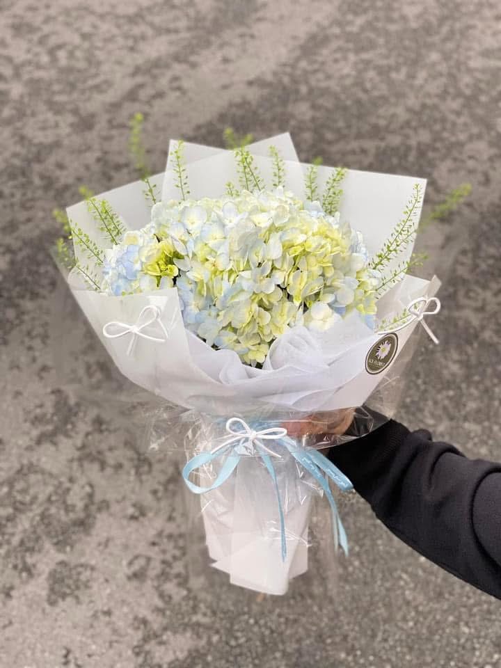 Bó hoa tốt nghiệp Cẩm Tú cầu 