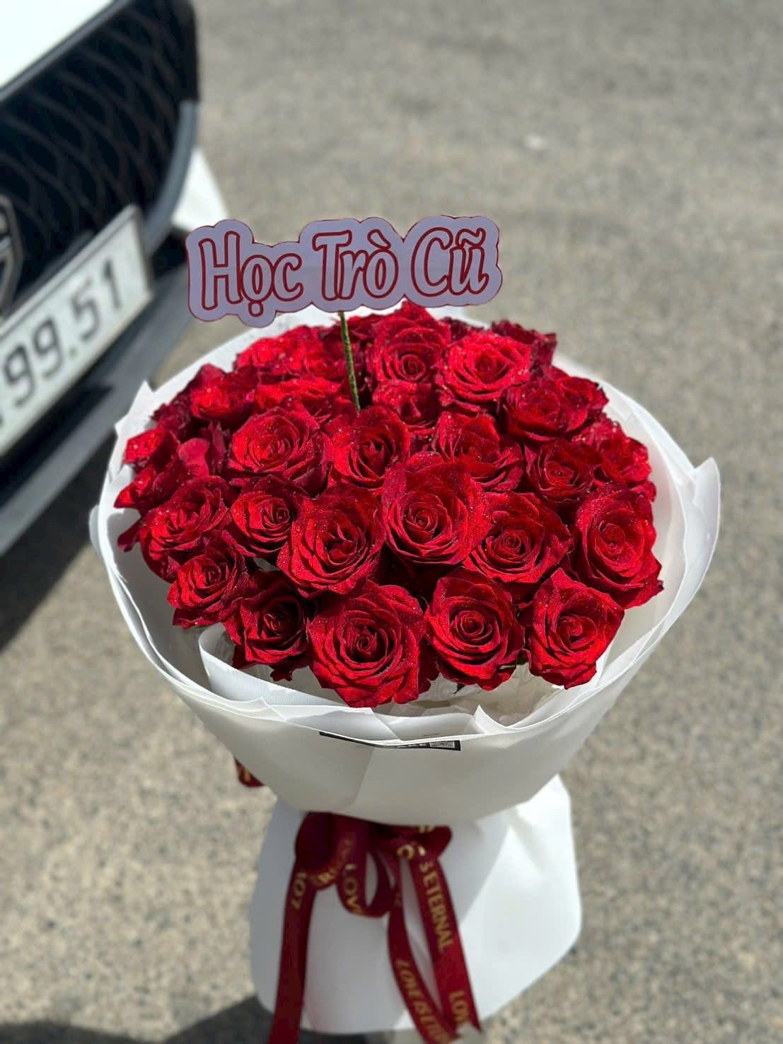 Hoa đỏ