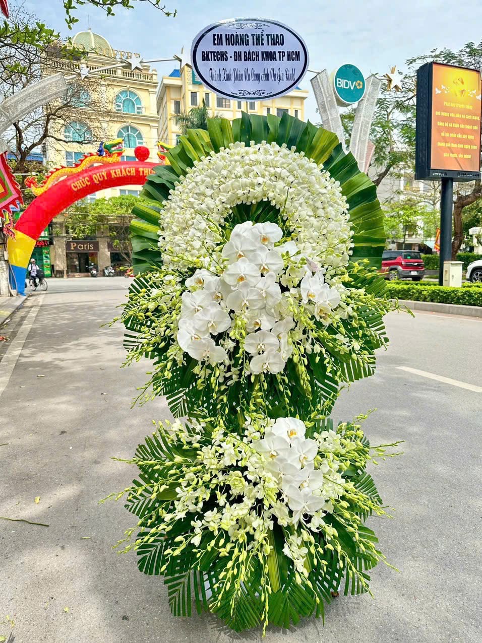 Hoa viếng, lan hồ điệp 