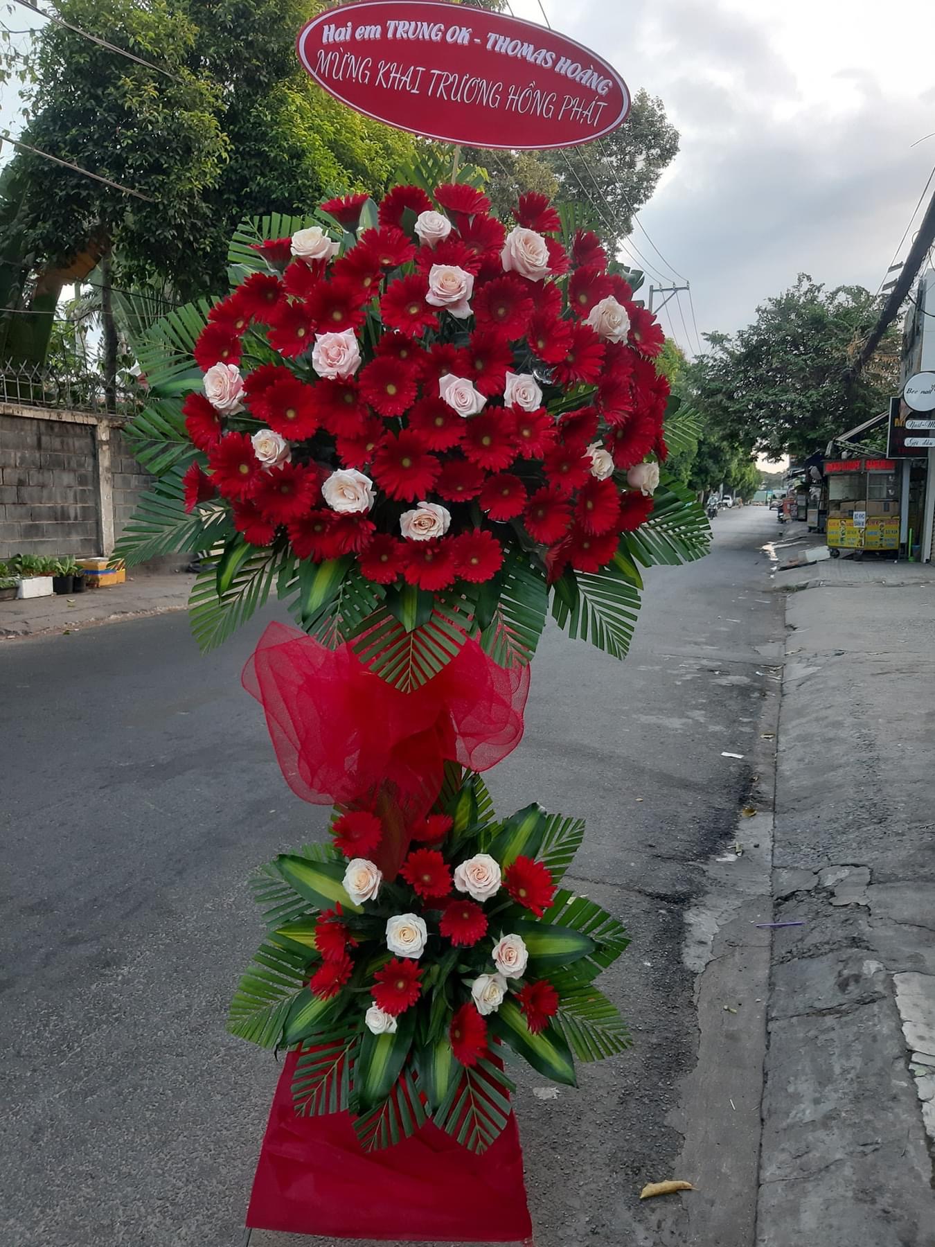 Kệ khai trương hoa đồng tiền 