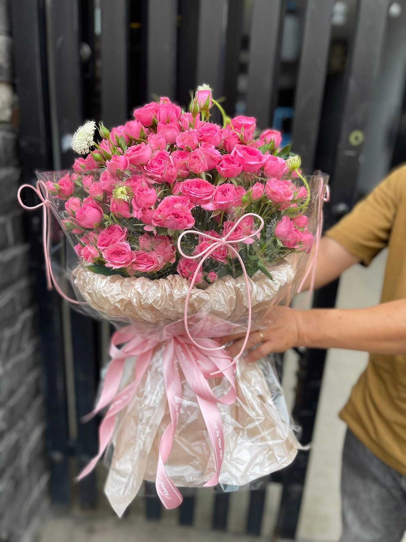 Bó hoa Hồng Sophia thuận an