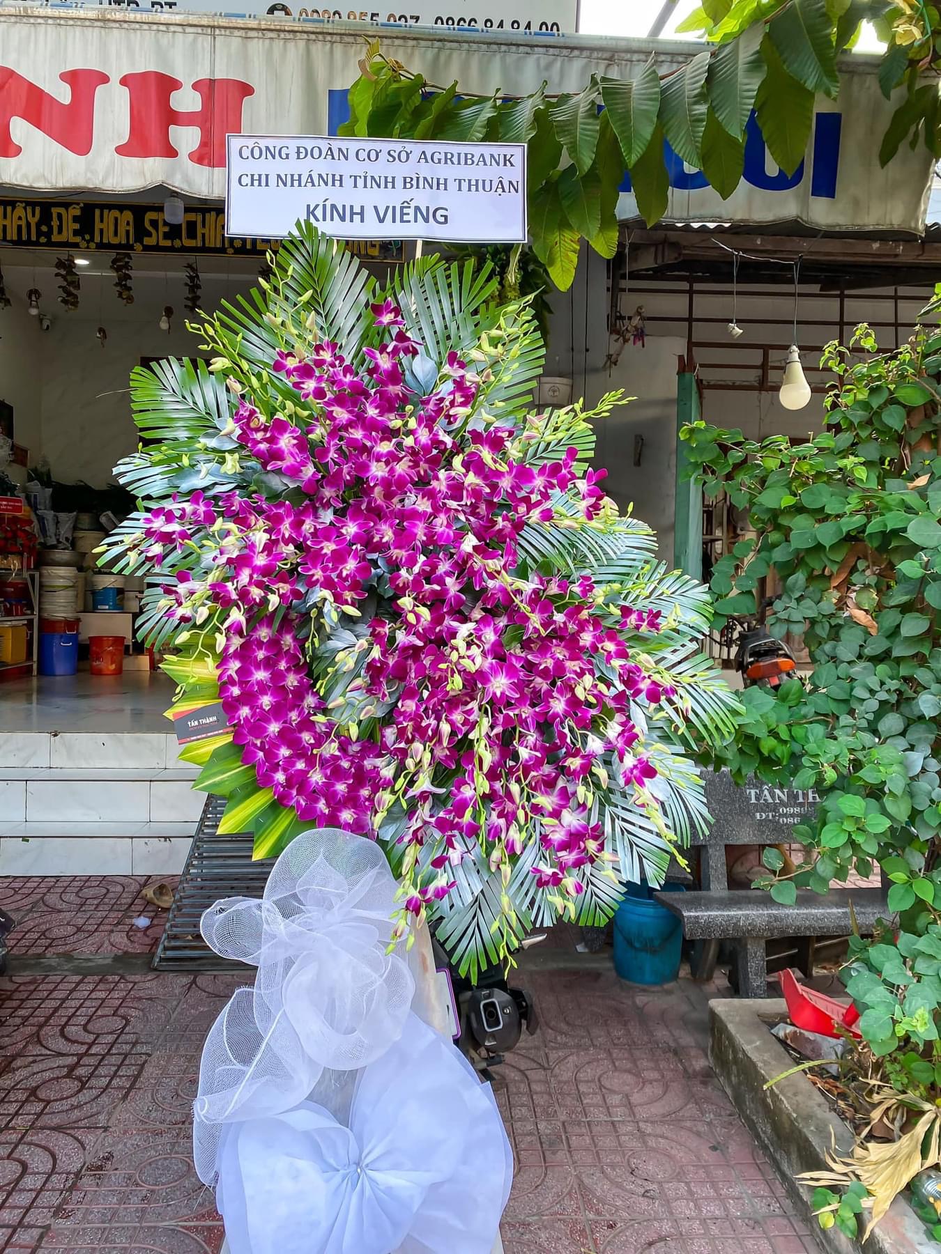 Kệ viếng lan tím rẻ nhất Sài Gòn 