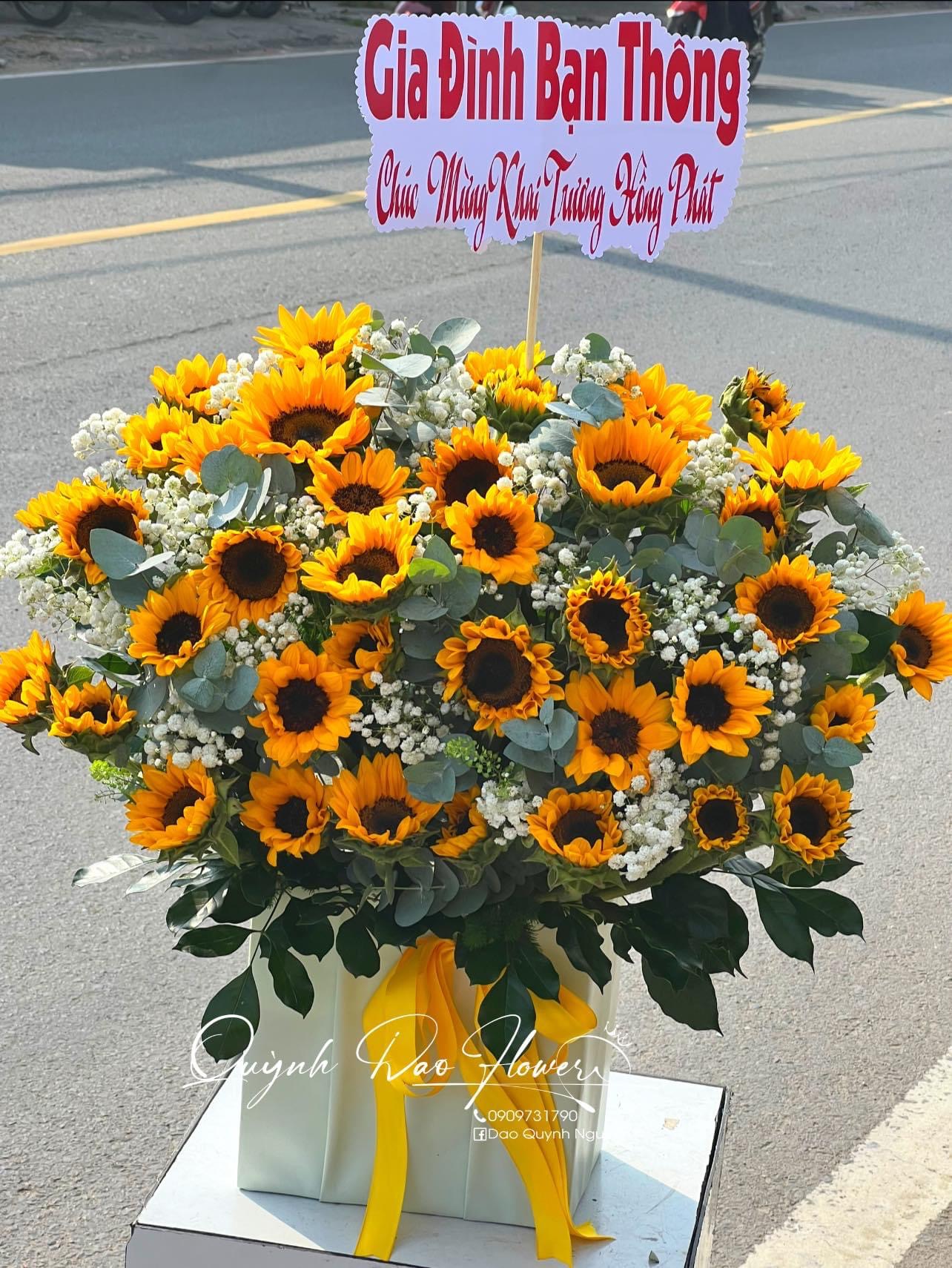 Giỏ hoa hướng dương to tặng khai trương 