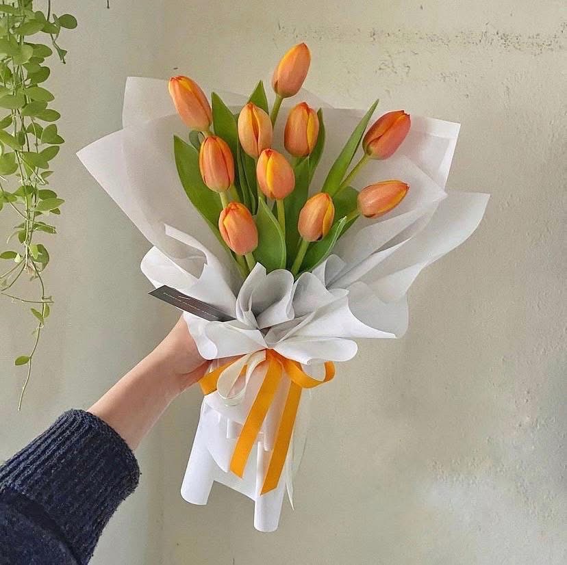 Bó hoa tulip cam