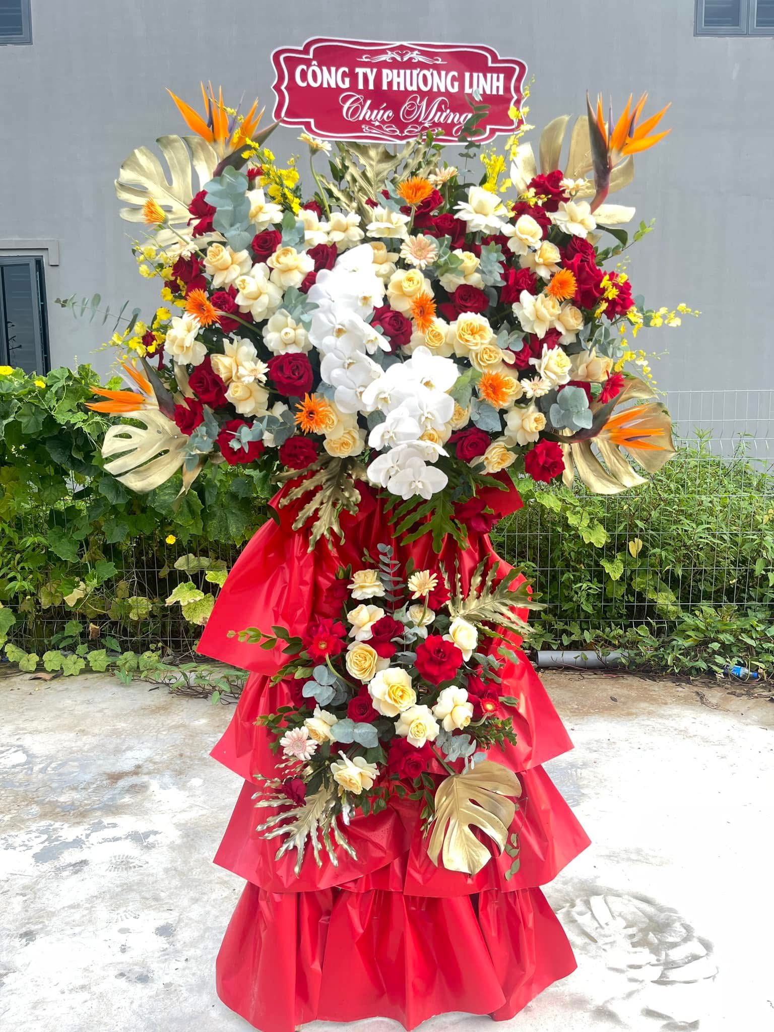 Kệ khai trương lan hồ điệp màu vàng 