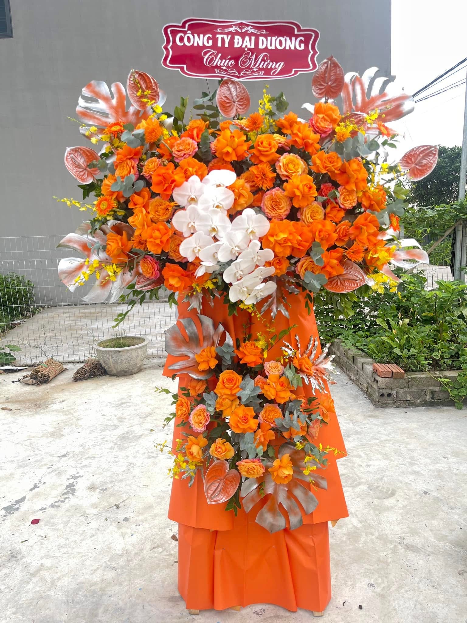 Kệ khai trương lan hồ điệp màu cam